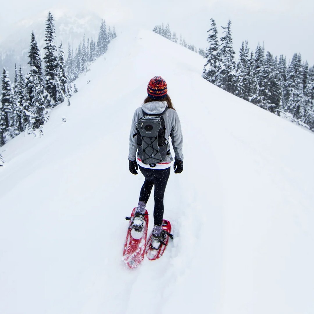 Snowshoes