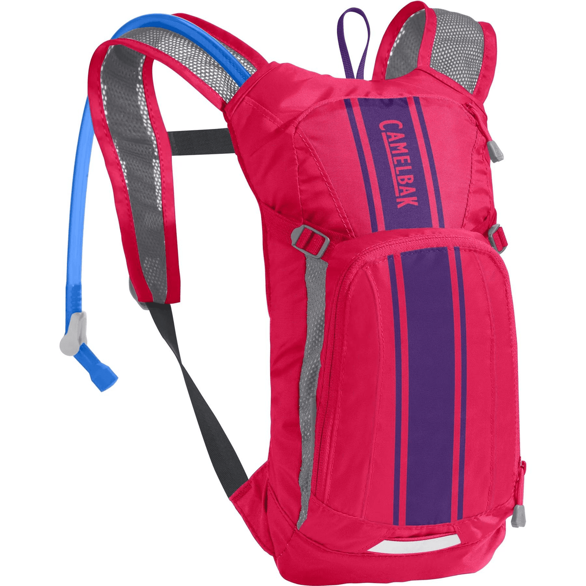 Camelbak Hydration Pack Hot Pink/Purple Stripe Mini M.U.L.E CB1155603000