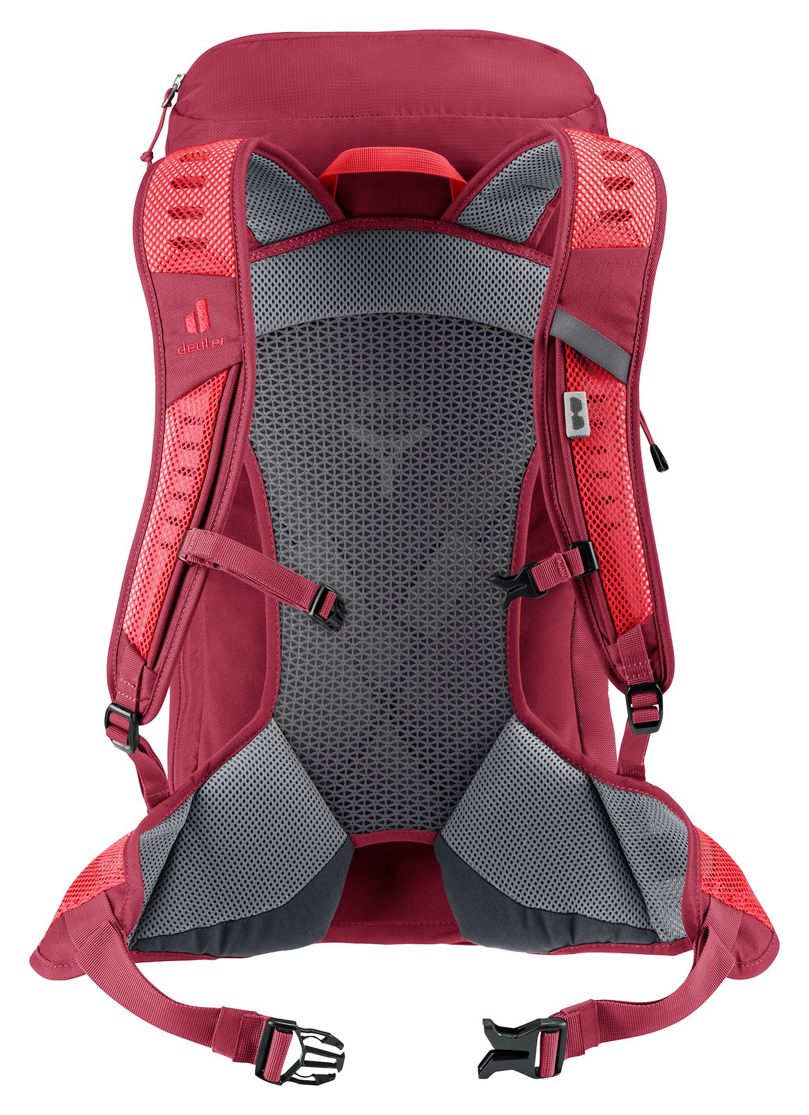Deuter AC Lite 24 in Cherry Masala from behind, mesh back panel and padded shoulder straps