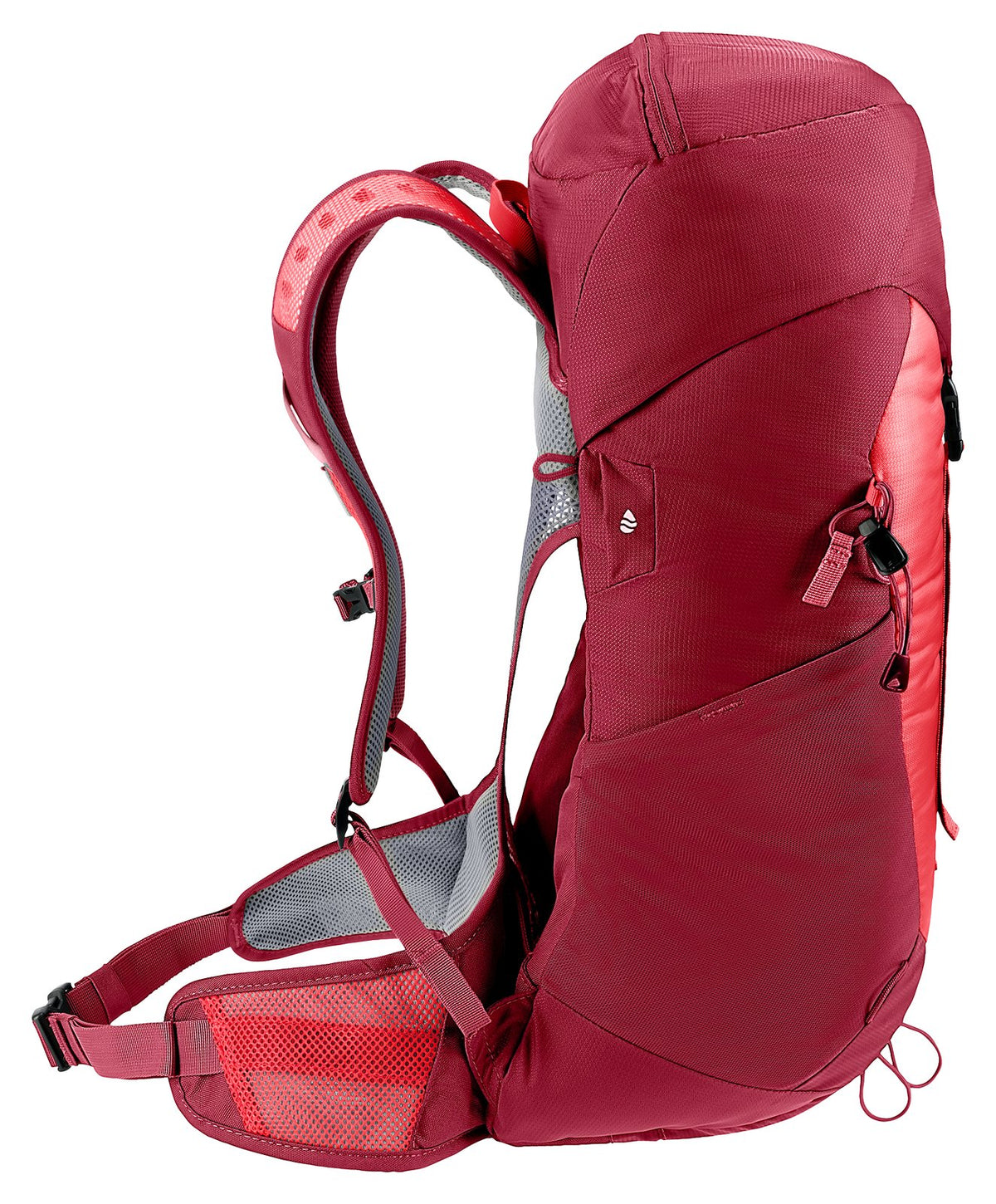 Deuter AC Lite 24 in Cherry Masala, side profile of the arched spring steel frame