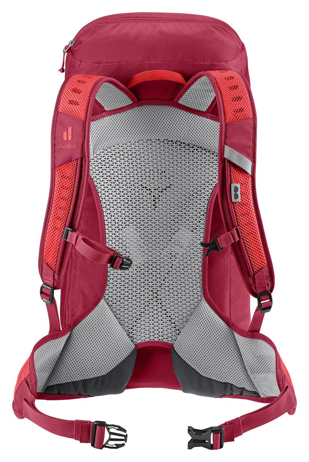 Back of the Deuter AC Lite 30 in Cherry Masala with red shoulder straps and mesh back