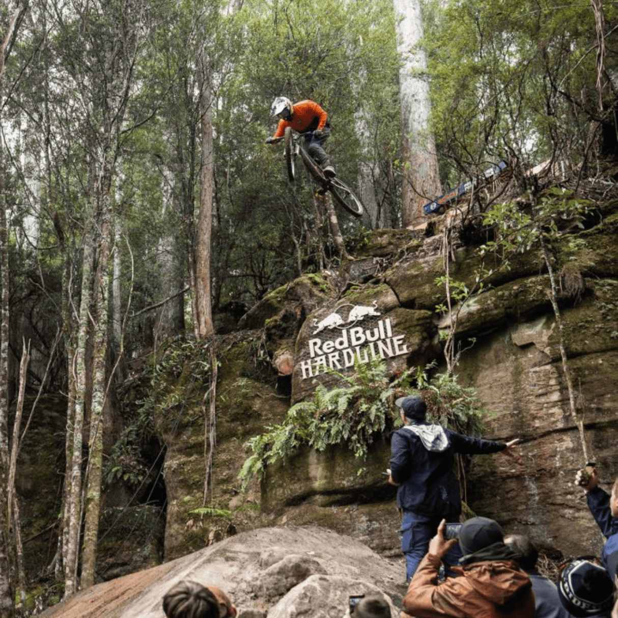 Goodyear MTB Tyre Newton MTR Enduro Tubeless Complete