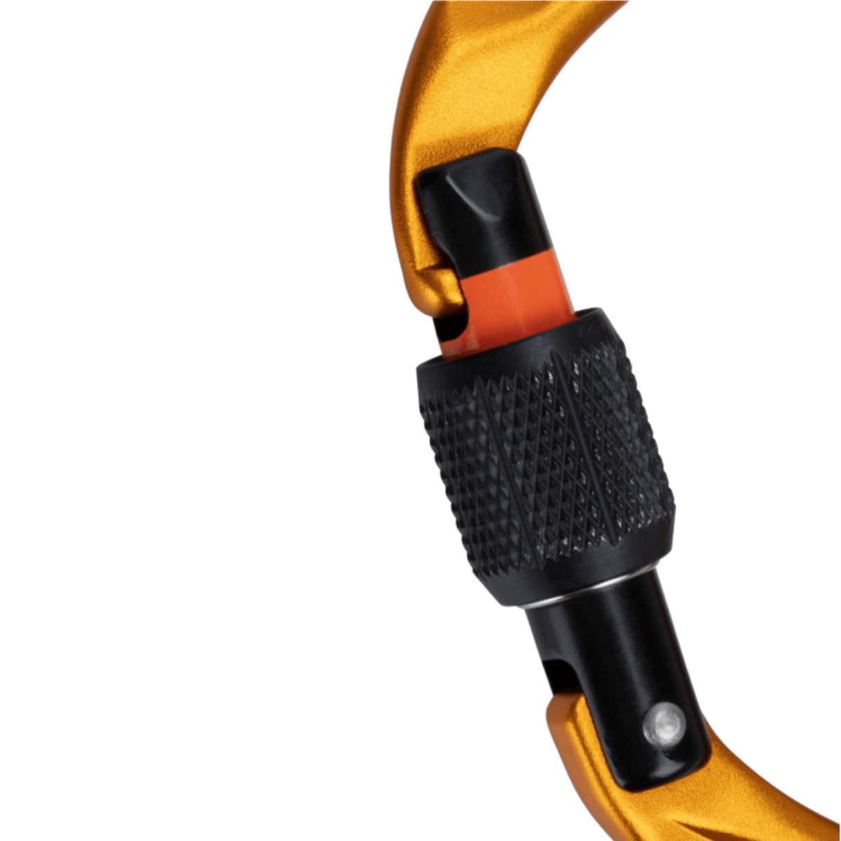 Mammut Carabiner Sender Screwgate Carabiner 2040-02450-1571-1