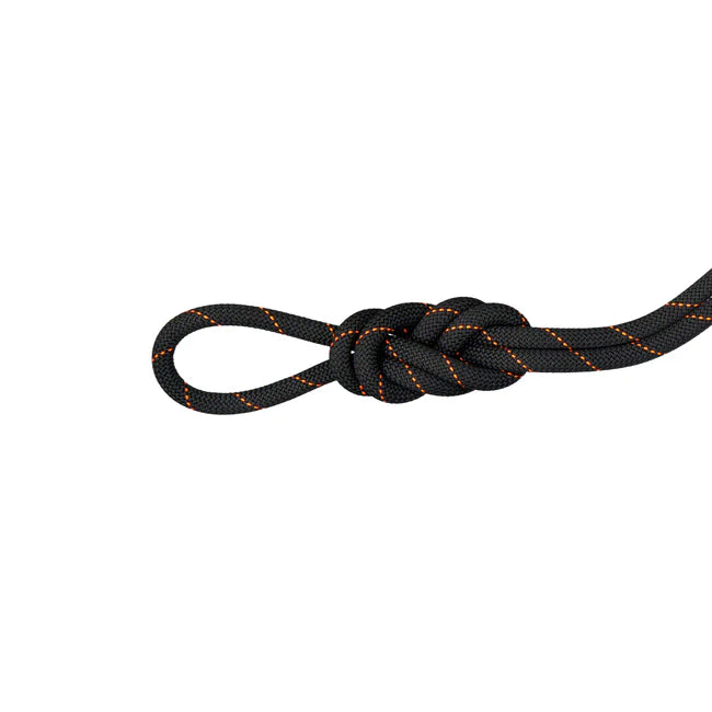 Mammut Climbing Rope 9.9 Gym Workhorse Classic Rope