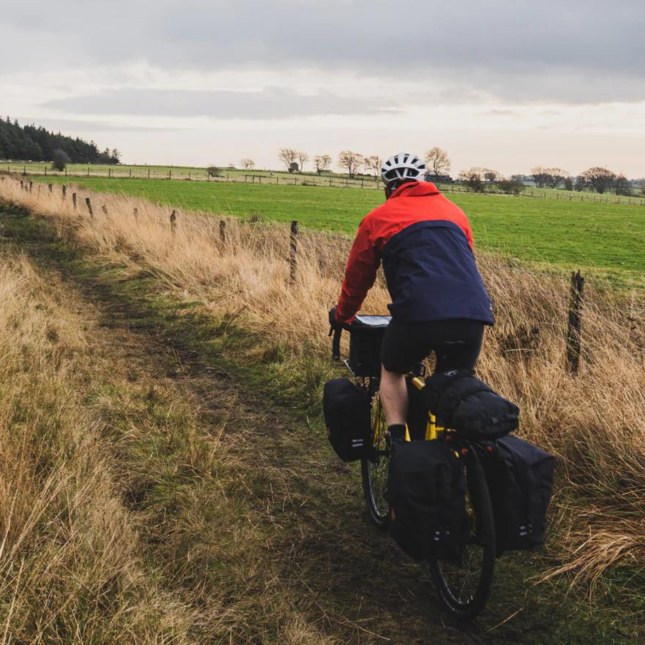 Pannier Bags