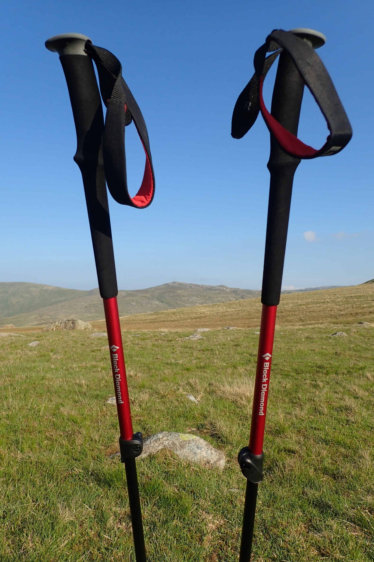 Hiking Poles