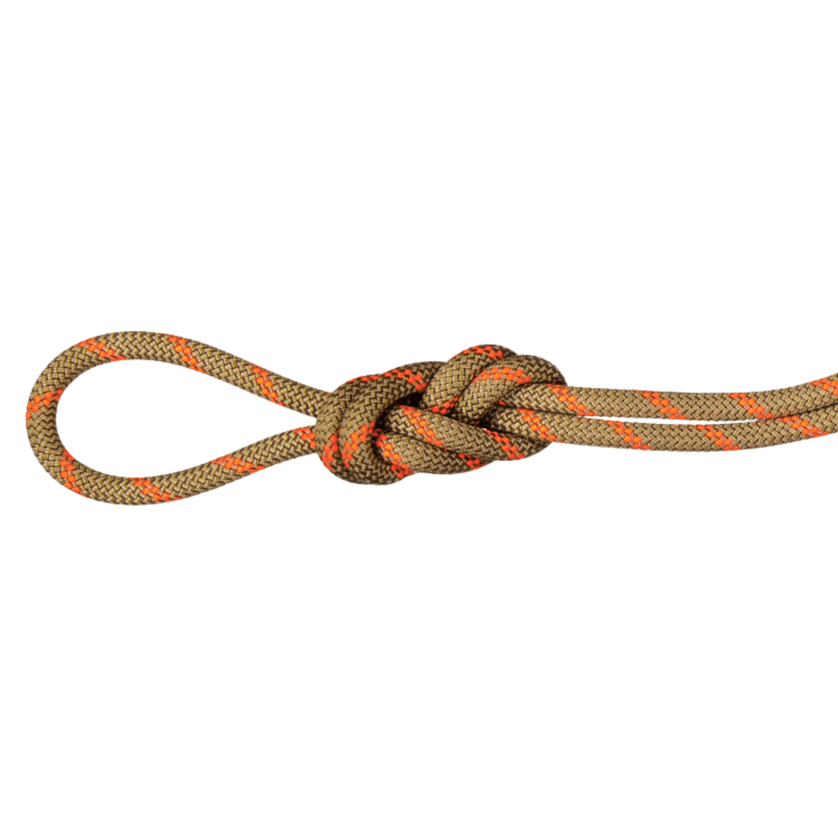 Mammut Climbing Rope Boa/Safety Orange / 30m 8.0 Alpine Dry Rope 2010-04350-11240-1030