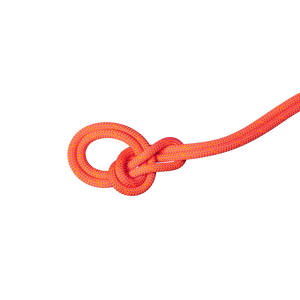9.8 Crag Dry Rope