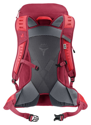 Deuter AC Lite 24 in Cherry Masala from behind, mesh back panel and padded shoulder straps
