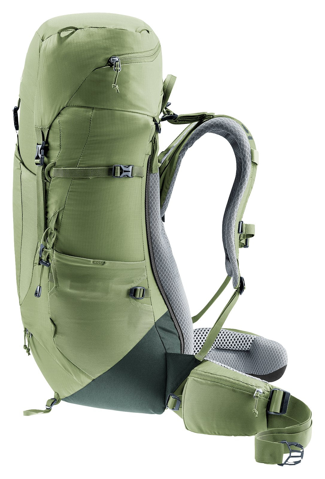 Deuter Aircontact Lite 35 + 10 SL in Grove Ivy, side three-quarter view with the lower pack in dark green