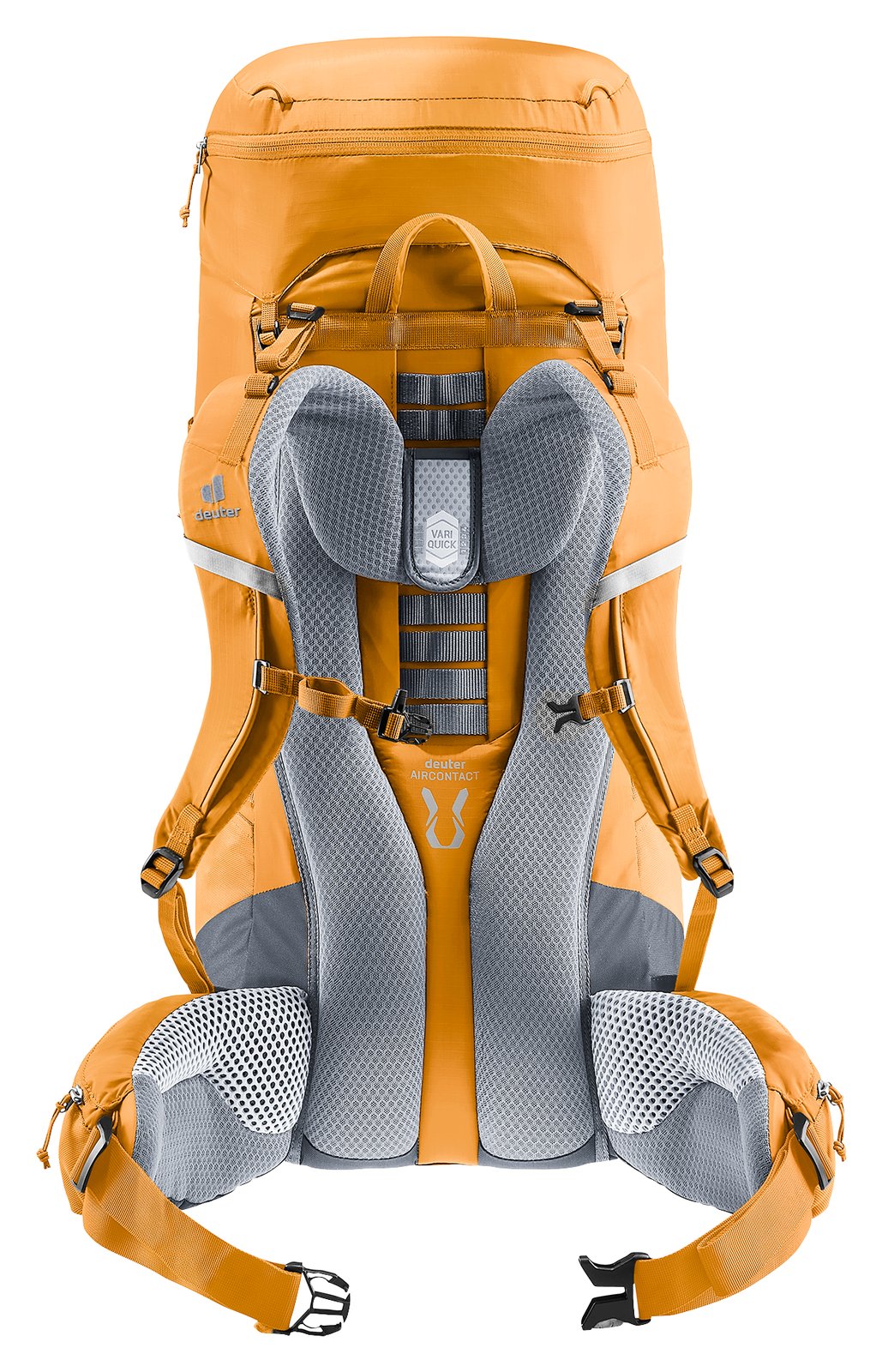 Deuter Aircontact Lite 50 + 10 in Amber Maple from behind, adjustable back and padded hip fins