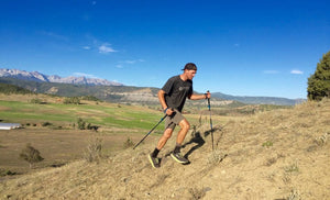 Black Diamond Trekking Poles Distance Carbon FLZ Trekking Poles (Past season)