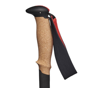 Black Diamond Trekking Poles Pursuit FLZ Trekking Poles