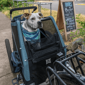 Dog in a bandana sitting in a Burley Bark Ranger parked beside a bike