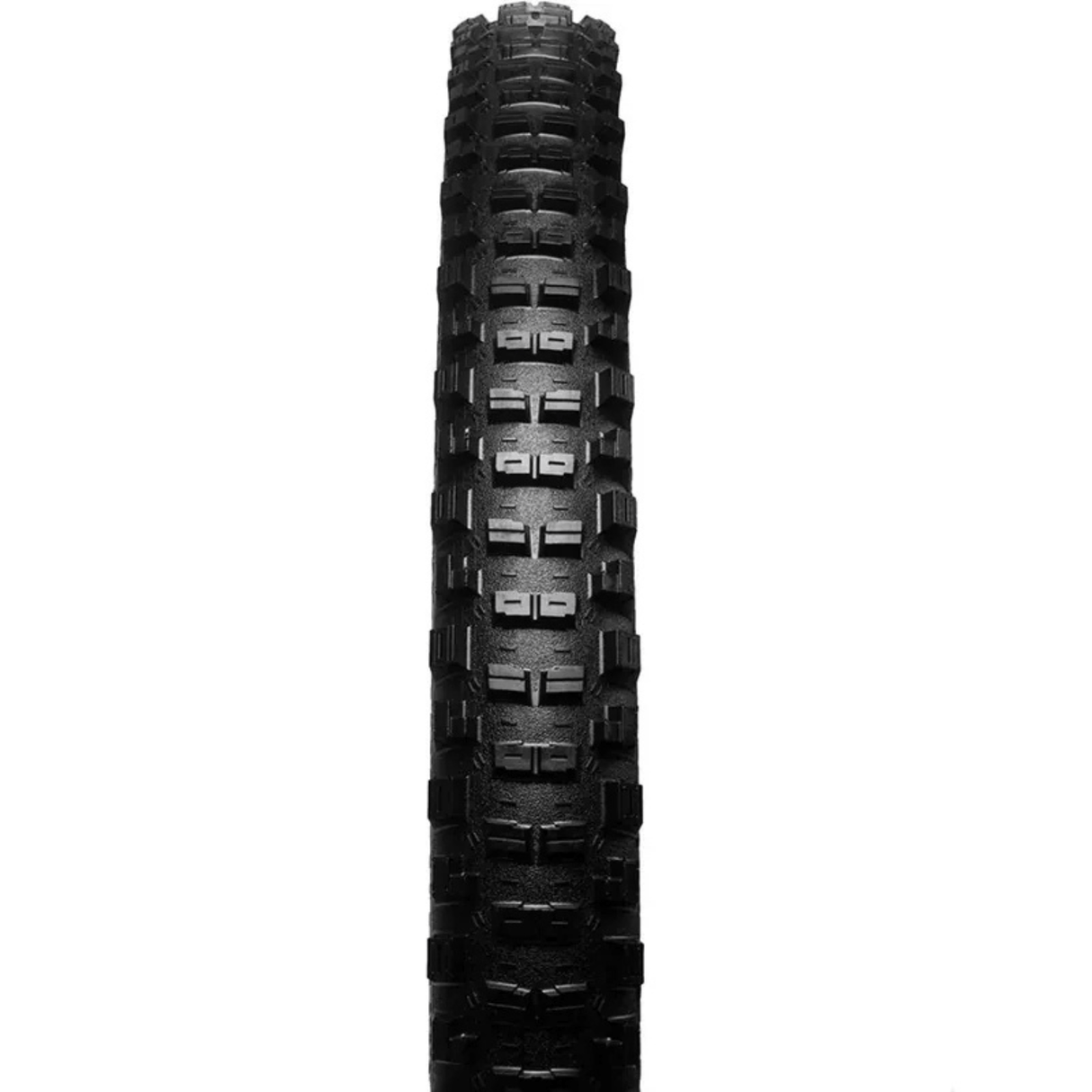 Goodyear MTB Tyre Newton MTR Trail Tubeless Complete