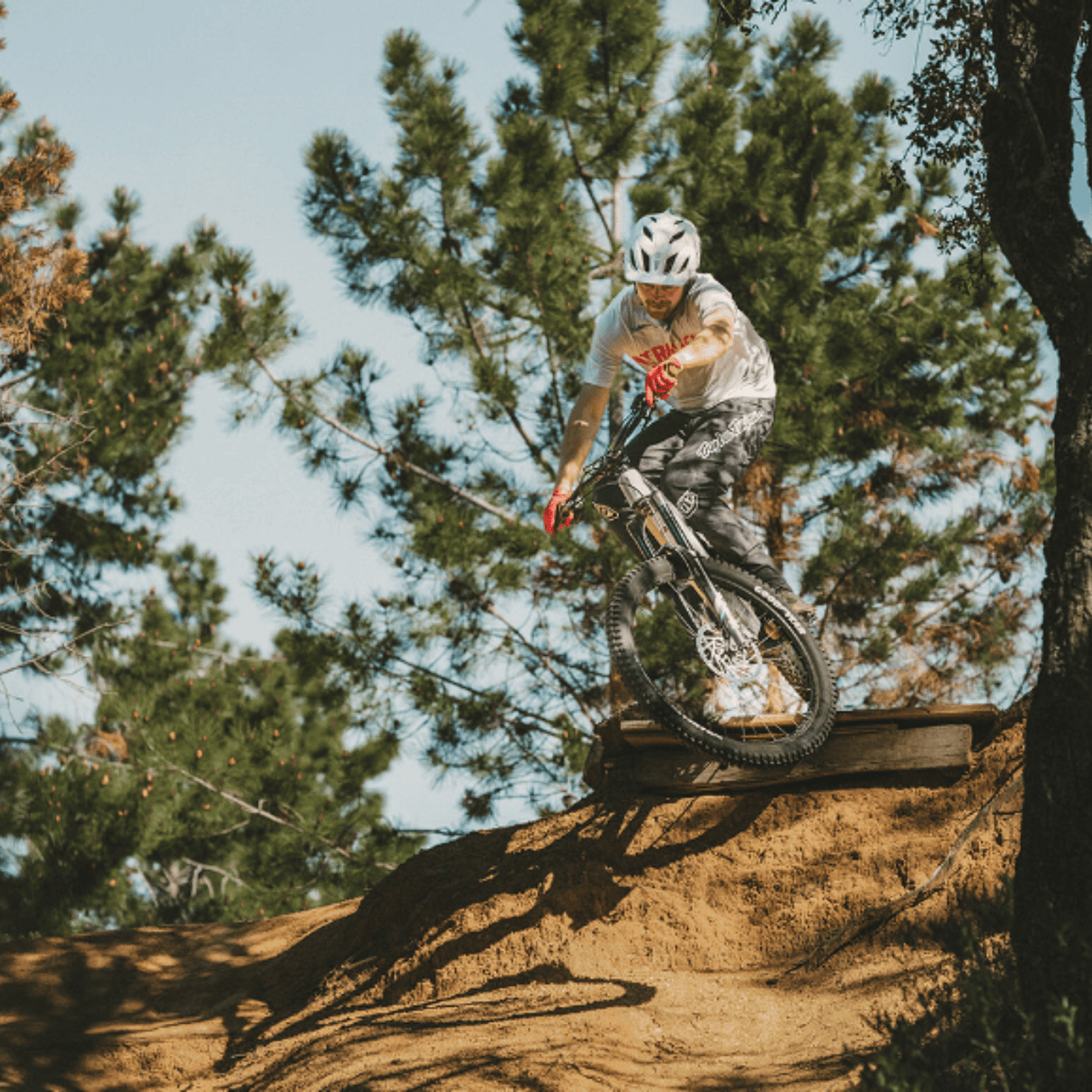 Goodyear MTB Tyre Wrangler MTF ElecDrive T/Less Comp