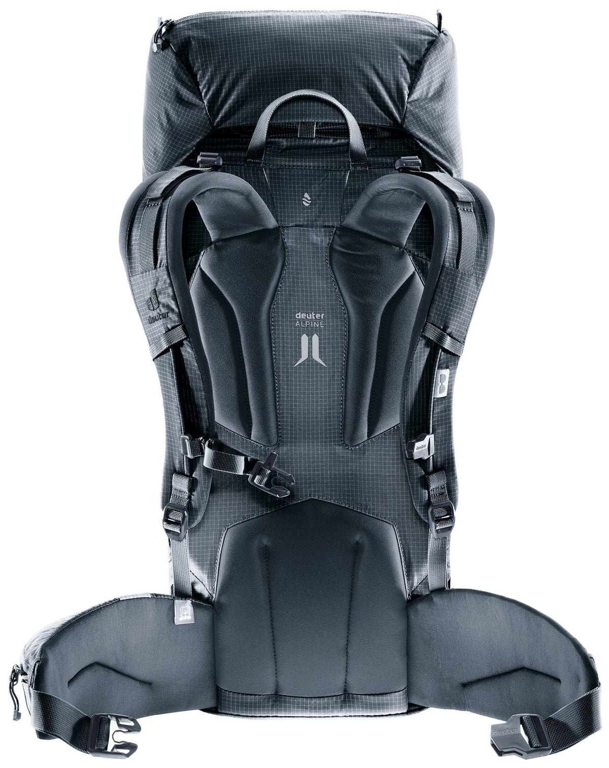 Back of the Deuter Guide 32+6 SL showing the Alpine back pads and hip fins