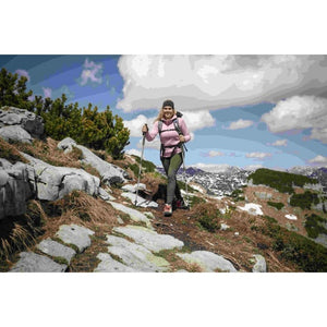 Komperdell Trekking Poles Explorer Zero 104529