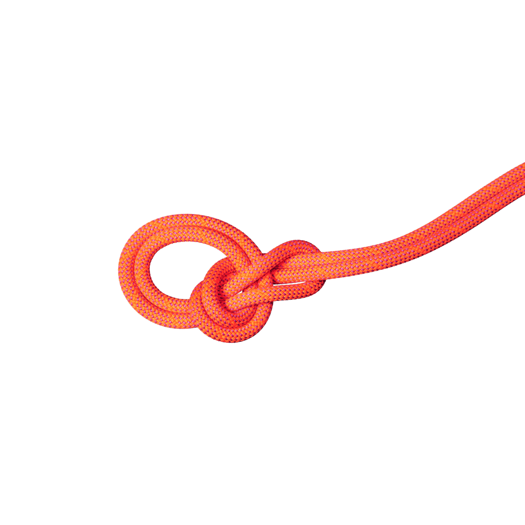 Mammut Climbing Rope 60 m / Vibrant Orange-Lavandin 9.8 Crag Dry Rope 2010-06520