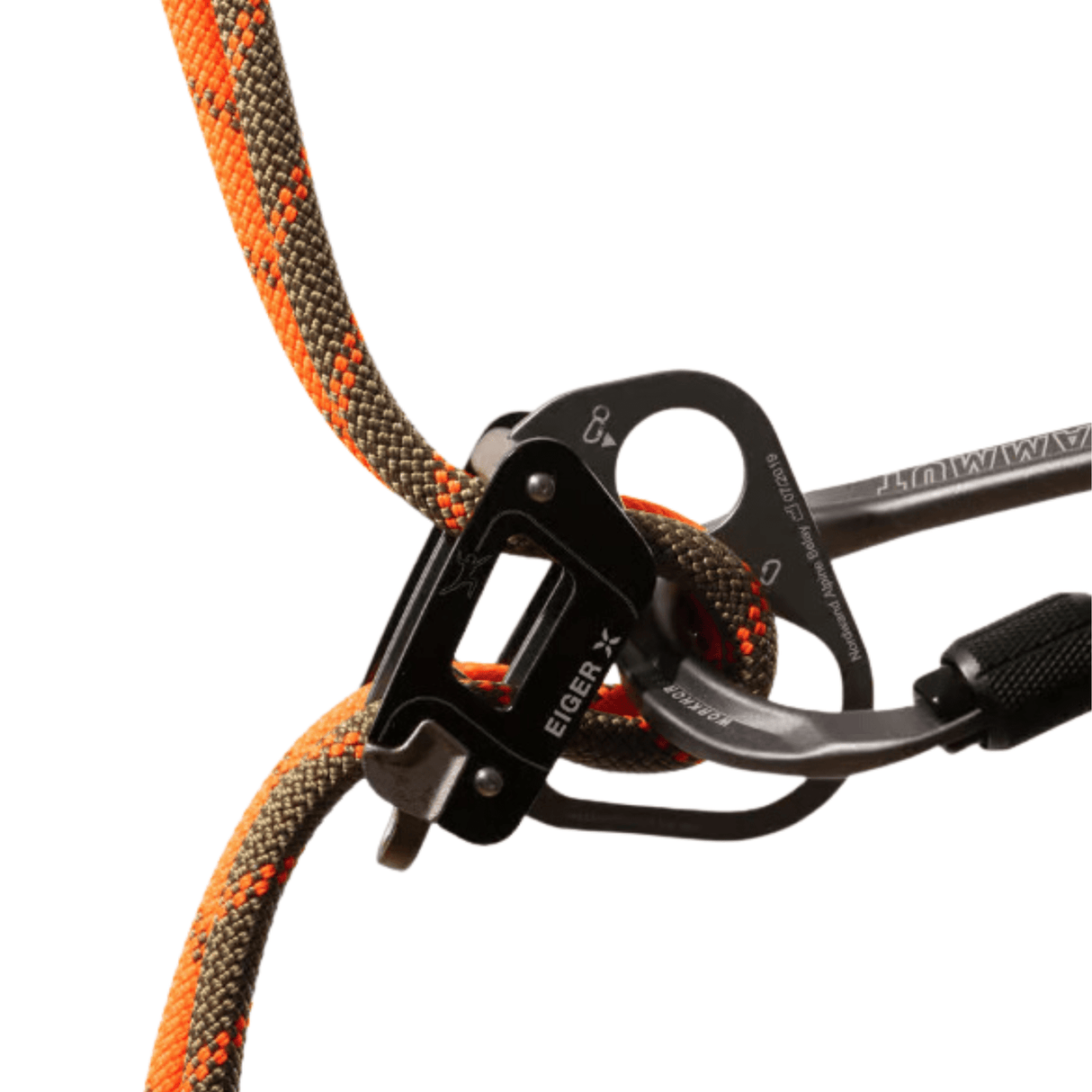 Mammut Climbing Rope 8.0 Alpine Dry Rope