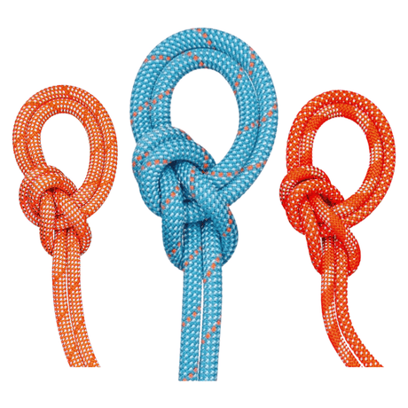 Mammut Climbing Rope 9.8 Crag Classic