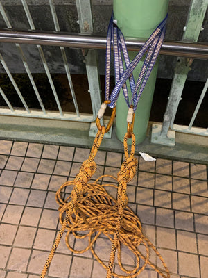 Mammut Climbing Rope Mammut 10.0 Performance Static Rope