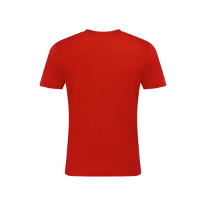 Men's Merino T-Shirt