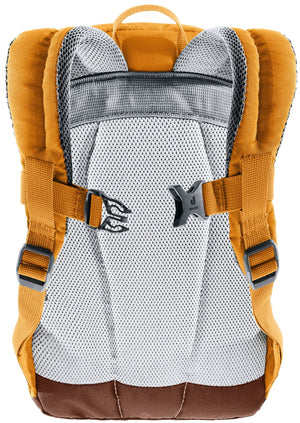 Back of the Deuter Pico showing the padded back panel and sternum strap
