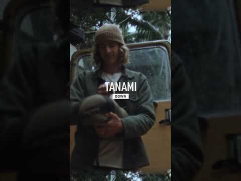 Tanami Down Comforter - Past Season