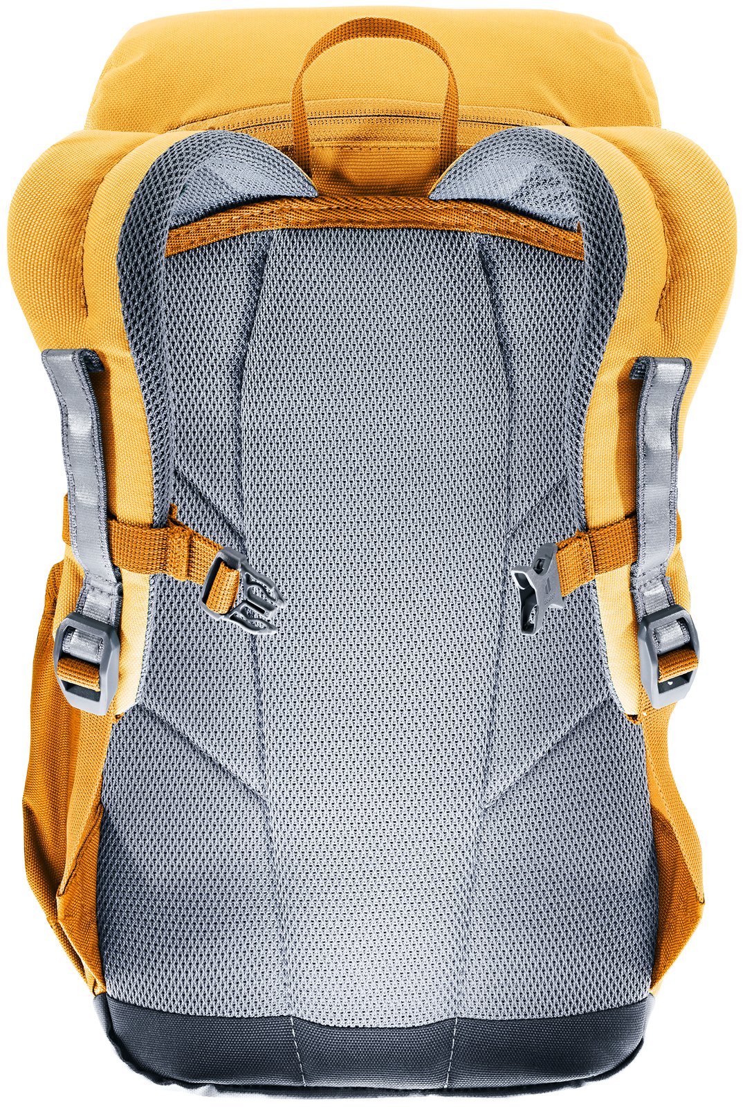 Back of the Deuter Waldfuchs 14 showing the padded Contact back and shoulder straps
