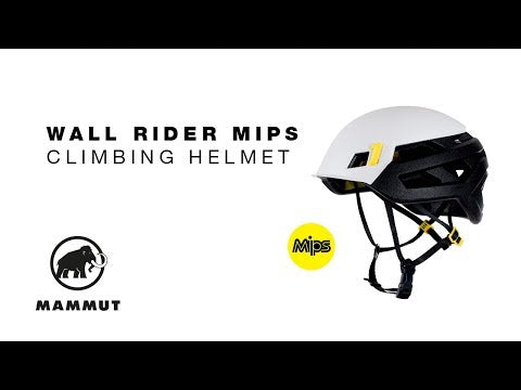 Wall Rider MIPS Helmet