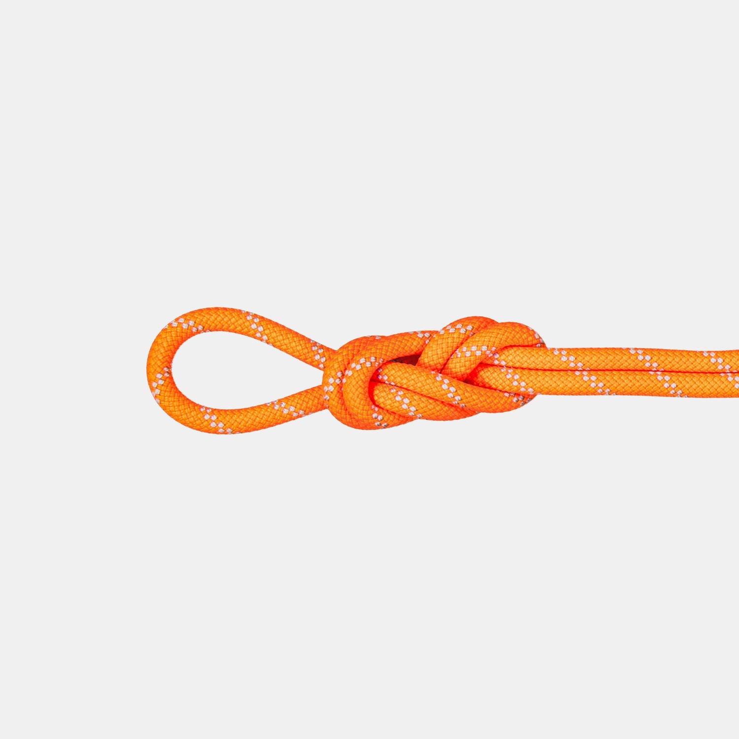 mammut Climbing Rope 9.5 Alpine Dry