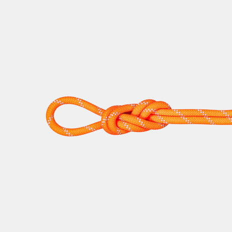 mammut Climbing Rope 9.5 Alpine Dry