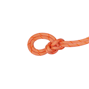 mammut Climbing Rope 9.8 Crag Classic